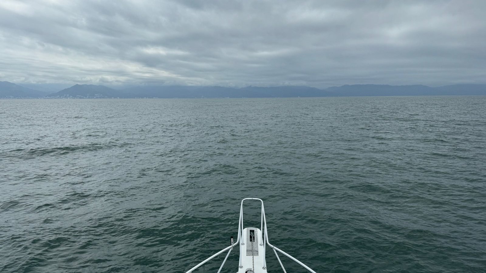 Whale Season 2026–2027 in Nuevo Vallarta & Puerto Vallarta: Dates, Boats and When to Book