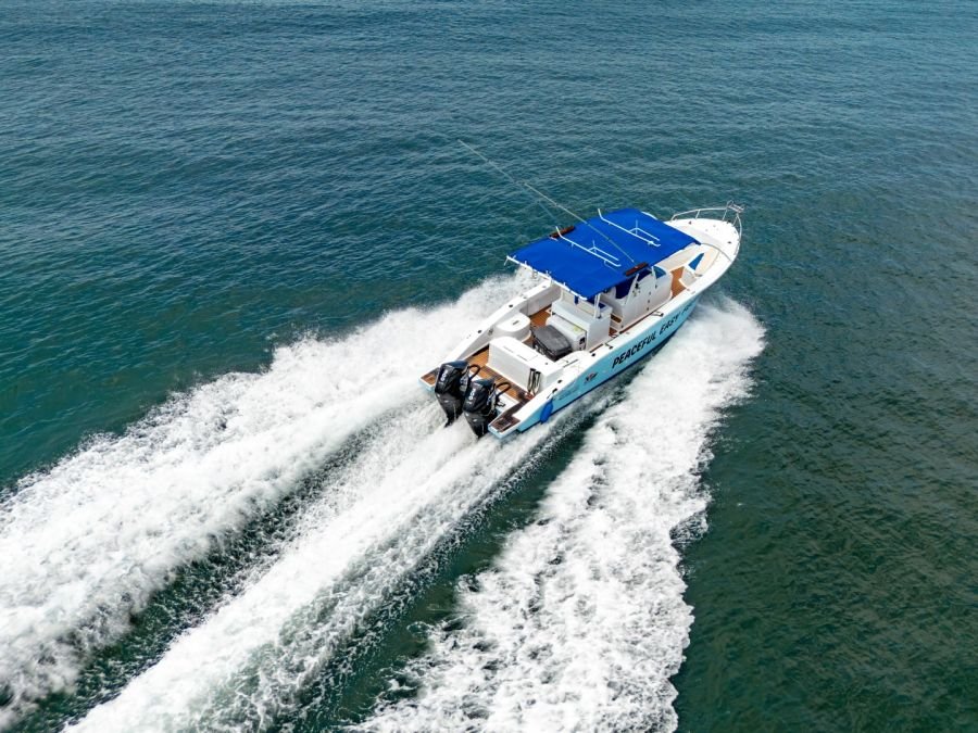 Peaceful Easy Feeling at cruising speed off Nuevo Vallarta, seen from above