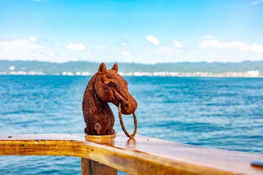 The bronze horse head on the covering board of Steel n Time