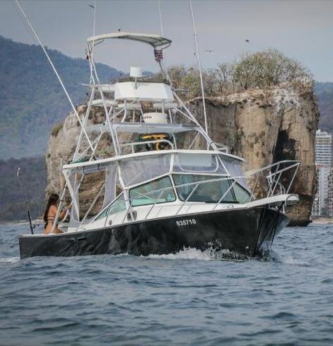 Guanatuna at Los Arcos National Marine Park, Puerto Vallarta