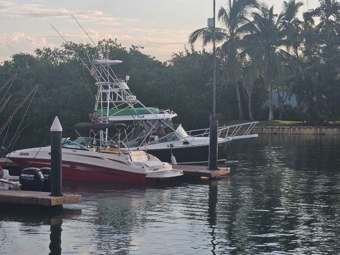 The fleet at Marina Nuevo Vallarta at dusk