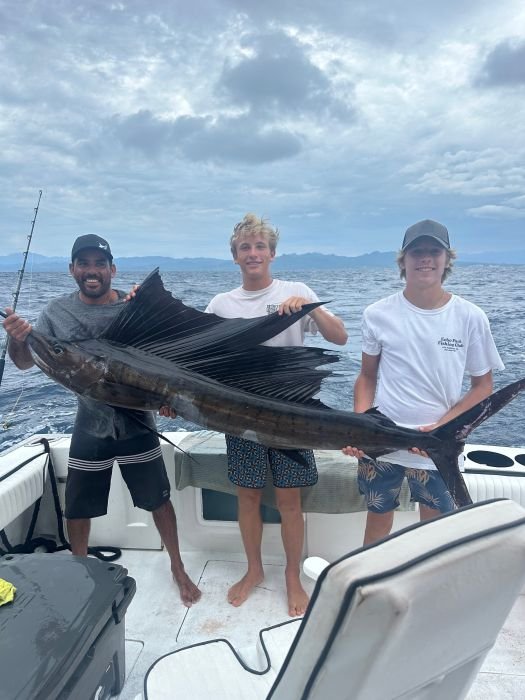 Sailfish brought boatside on a family fishing charter