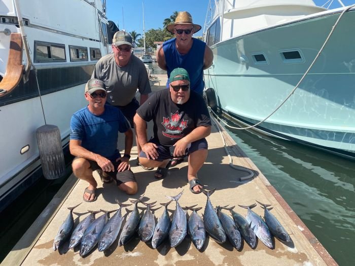 The day's catch laid out on the dock at Marina Nuevo Vallarta