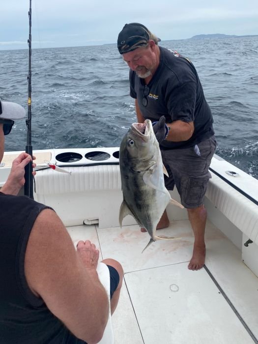 Jack crevalle landed inside Banderas Bay
