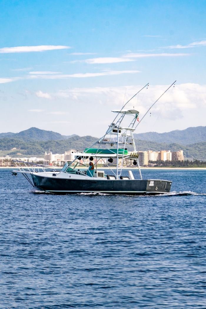 Guanatuna off the Puerto Vallarta hotel zone
